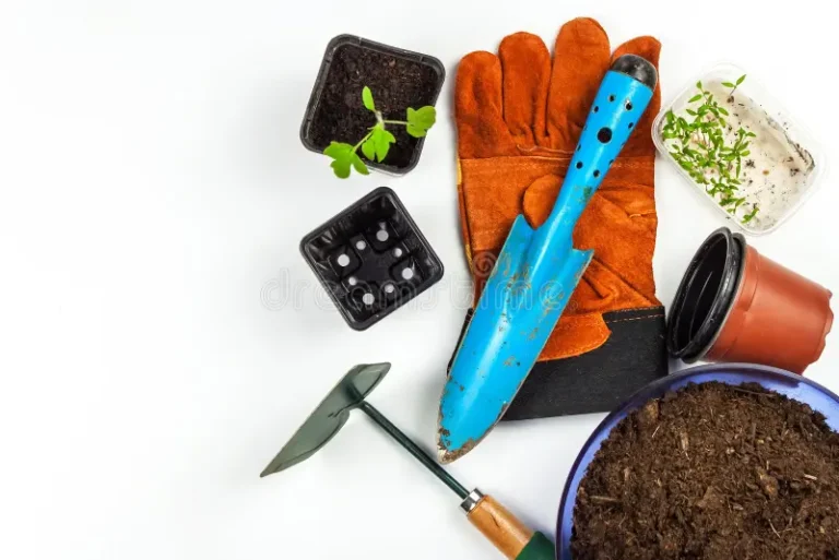 garden-tools-gloves-scoop-growing-vegetables-farm-planting-tomatoes-utilities-gardener-garden-tools-gloves-scoop-144210605
