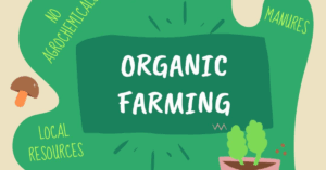 organic-farming