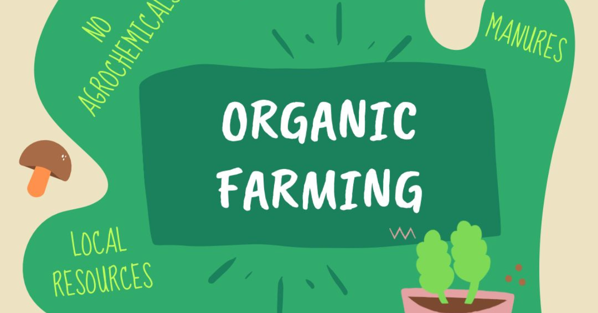 organic-farming